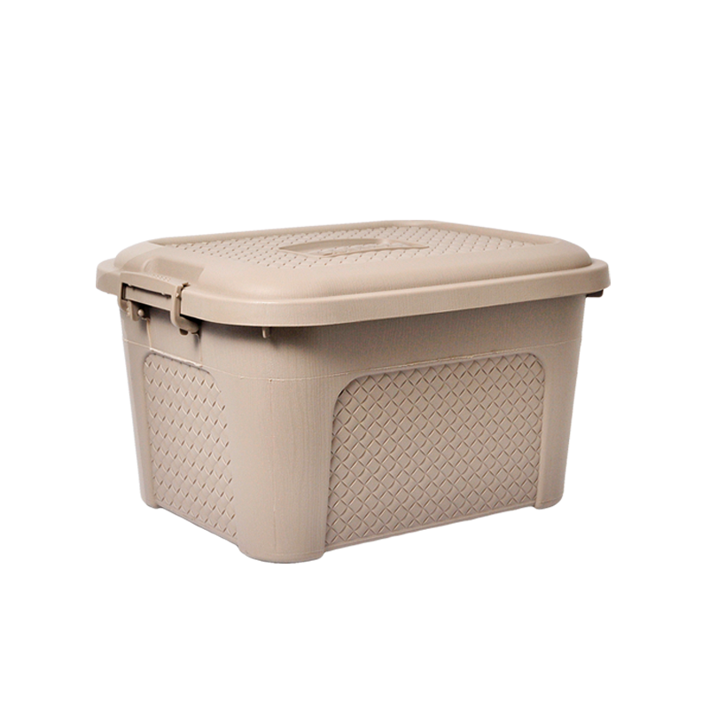 CAJA MULTIUSOS RATTAN 10 L X 12 UND NUDE